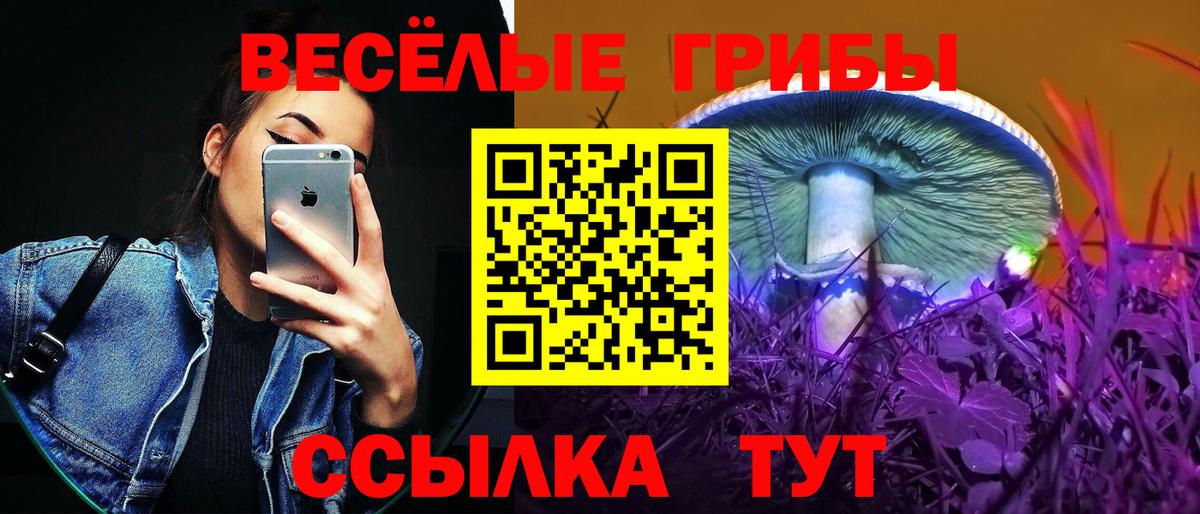 Боровичи  Галлюциногенные грибы Psilocybine cubensis  где можно купить   Вход с VPN 